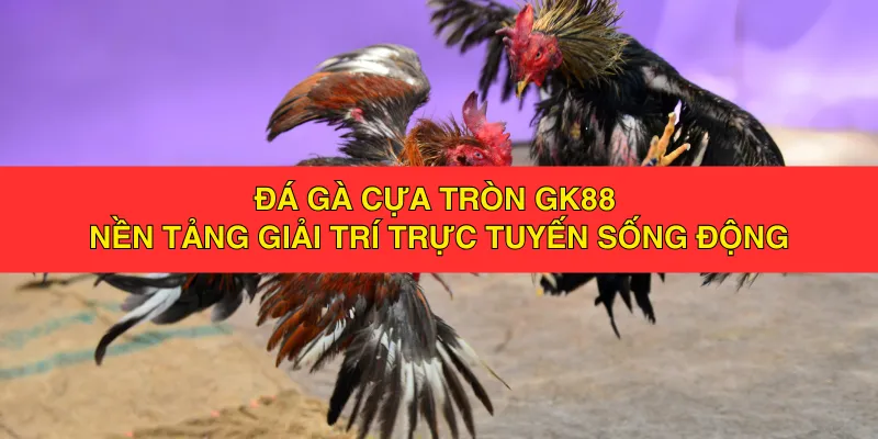 Đá gà cựa tròn GK88