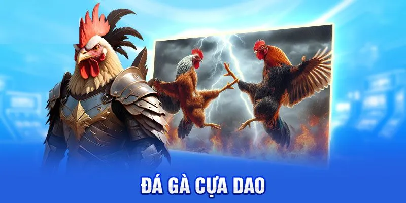 đá gà cựa dao